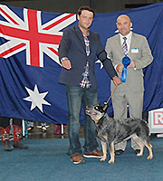 Dolce Blu Alba Chiara